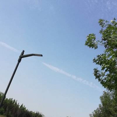 北京：第二飞絮高发期将覆盖“五一”假期